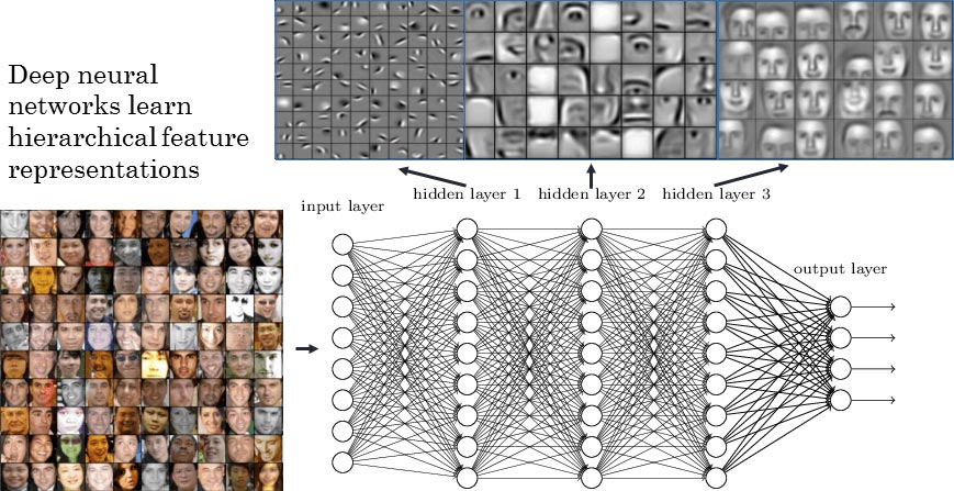 Deep Neural Networks Learn Facial Features