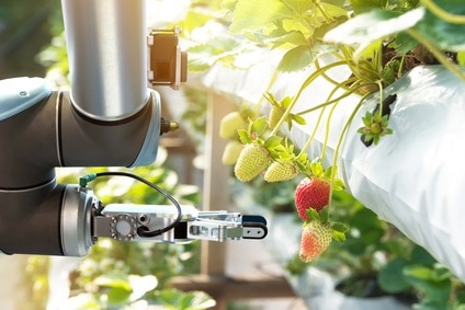 Robots for handling fruits